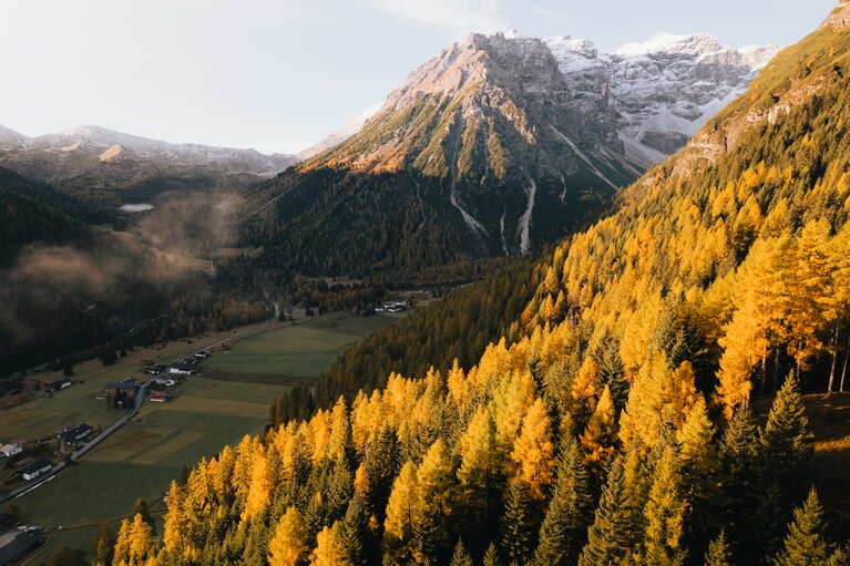 Lärchenwiesen in Obernberg im Herbst | © Tourismusverband Wipptal | Johannes Bitter