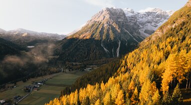 Lärchenwiesen in Obernberg im Herbst | © Tourismusverband Wipptal | Johannes Bitter