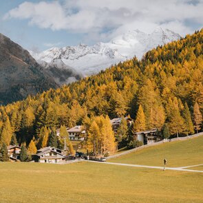 Häusersiedlung umgeben von herbstlich gefärbtem Wald und Feldern, im Hintergrund schneebedeckte Berge | © TVB Wipptal | Johannes Bitter