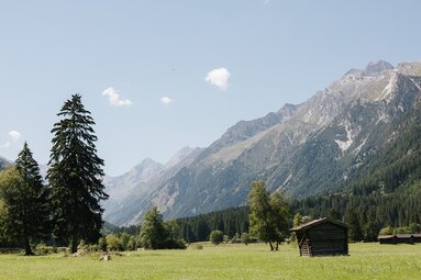 Schöner Ausblick auf das Gschnitztal