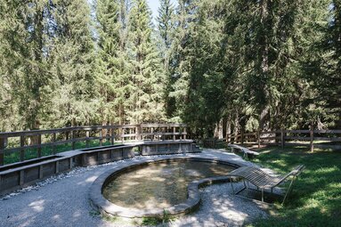 Das Herrenwasserl zwischen Steinach und Trins