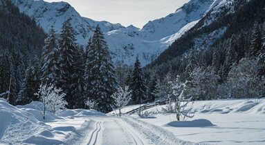 Frisch gespurte Loipe mit Blick zum Talschluss von Gschnitz | © TVB Wipptal | Helena Beermeister