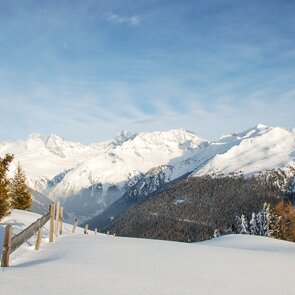 Winterlandschaft mit Wiesen und Bäumen | © Jannis Braun