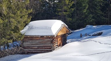 Eingeschneiter Heustadl am Waldrand mit Schrägezaun | © Roland Amor