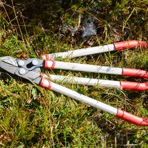 zwei Arbeitsgeräte liegen in der Wiese | © TVB Wipptal | Kathrin Herzer