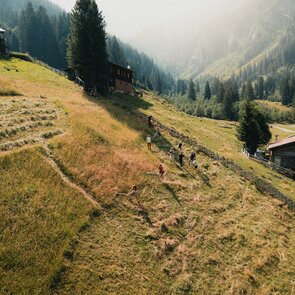 Gruppe von Menschen am Hang beim Sensenmähen | © TVB Wipptal | Johannes Bitter