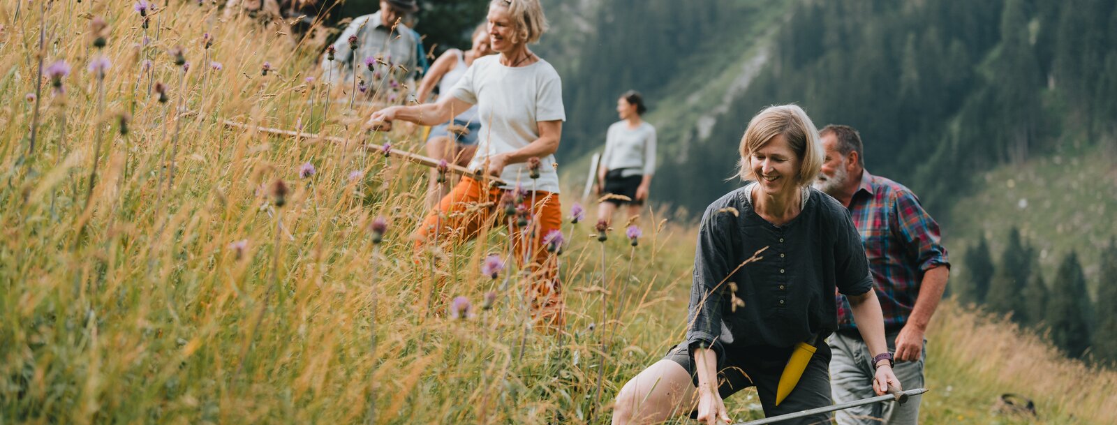 Gruppe von Menschen beim Sensenmähen | © TVB Wipptal | Johannes Bitter