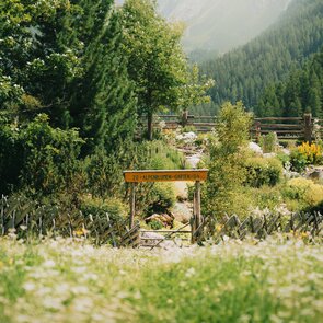 Alpenkräutergarten im Bergsteigerdorf Schmirn | © TVB Wipptal / Johannes Bitter