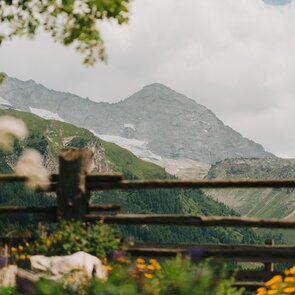 Alpenkräutergarten im Bergsteigerdorf Schmirn | © TVB Wipptal / Johannes Bitter