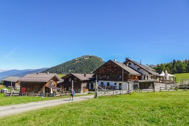 Sattelbergalm im Sommer | © Tourismusverband Wipptal | Barbara Jenewein